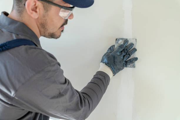 Best Water-Damaged Drywall Repair  in Essex, IL